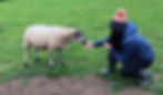 cropped IMG_9380.jpeg