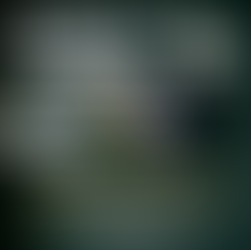 Assembleia dos TAEs da Unifesspa debate deflagração de greve