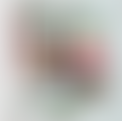 Dia das servidoras e dos servidores públicos