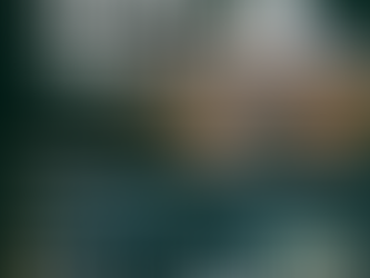 Assembleia dos e das TAEs da UFRA