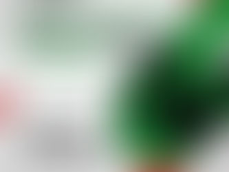 Seminário Estadual do Sindtifes-PA: Combater os Assédios Moral, Sexual e outras formas de violência