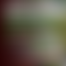 Posse da nova diretoria da Seção Sindical UFOPA do Sindtifes-PA