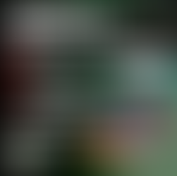 PARTICIPE DA CONFRA DO SINDTIFES-PA 2024