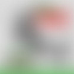 Dia dos aposentados e das aposentadas é dia de luta!