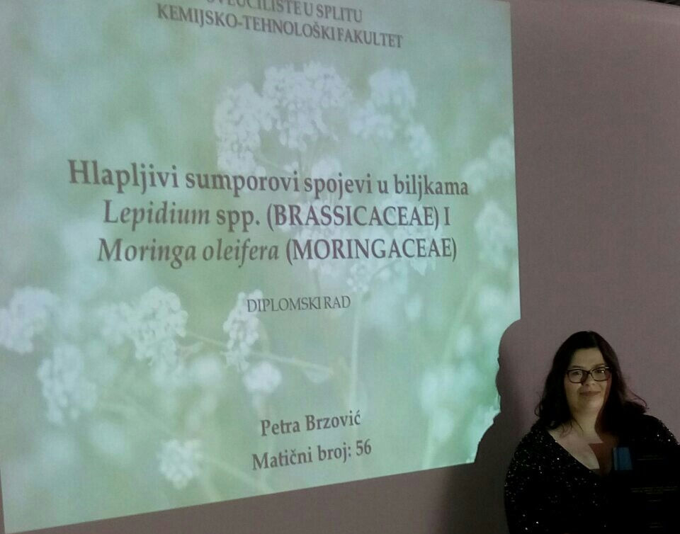 Petra Brzović obrana diplomskog rada