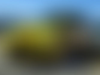 Beşiktaş Korsan Taksi