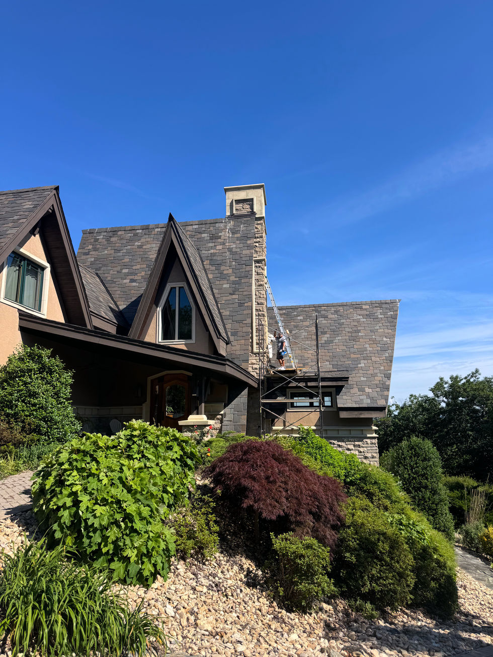 tall exterior home painting