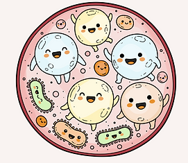 Microbiote Flore intestinale Probiotiques Bactéries Dysbiose SIBO