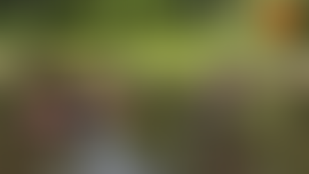 ရဲဘော်သက်တန့်ရဲ့ ဆန္ဒတစ်ခု