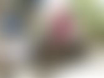 ပလက်ဝကို ULA/AAရဲ့ခရိုင်အဖြစ်ထည့်သွင်းမှုအပေါ် ချင်းပြည်ကောင်စီ ကန့်ကွက်