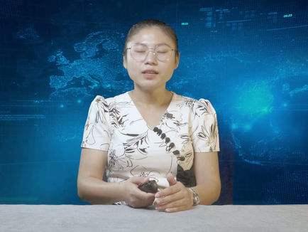 တပါတ်အတွင်း ထူးခြားသတင်း