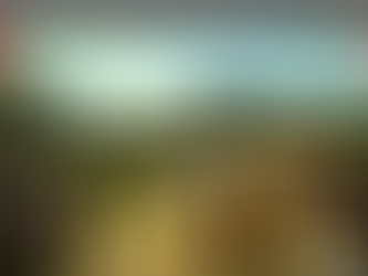 ကမ်းဖြူတိုက်ပွဲပြင်းထန်ပြီး မတ္တရာပကဖ ရဲဘော် ၇ယောက်ကျဆုံး