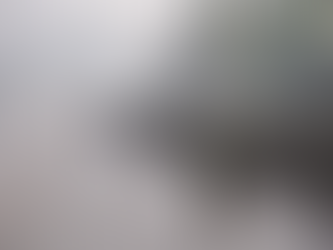 ဂေါ်ရခါးတွေကို အတင်းအကြပ်တပ်သားစုဆောင်းနေတဲ့အပေါ် TNLA ငြင်းဆို