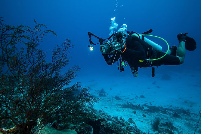 Underwater Photography