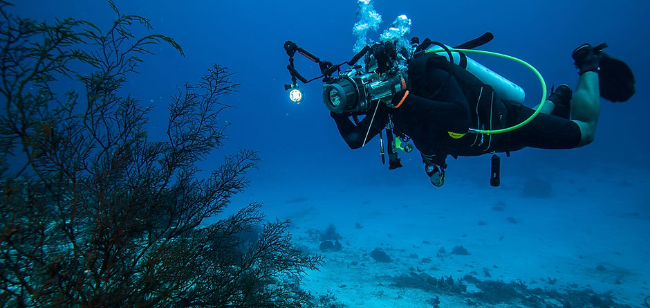 Underwater Photography