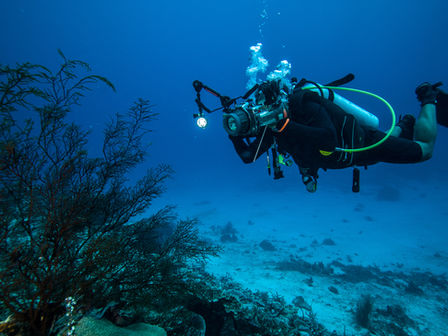 Exploring the Depths: A Journey into Underwater Photography