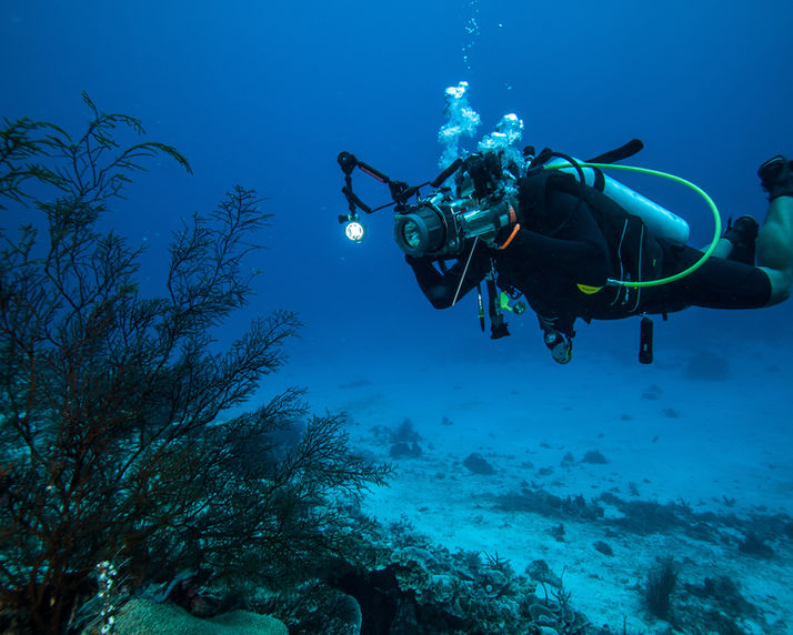 Underwater Photography 
