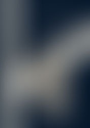 ReceptioGate 2025: RECEPTIO’s International Conferences and Scholarly Growth