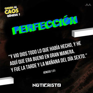 Trayendo orden al caos” Día 10: Perfección
