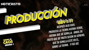 “Trayendo orden al caos” Día 5: Producción