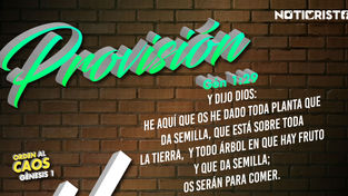 “Trayendo orden al caos” Día 9: Provisión