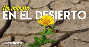 Un milagro en el desierto