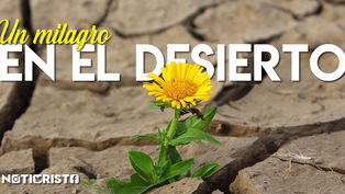 Un milagro en el desierto