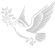 ab-icon.webp