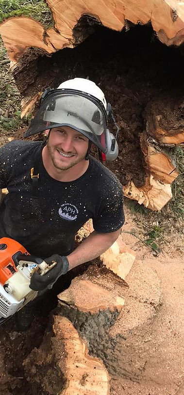 Tree Surgery Petersfield Haslemere West Meon West Sussex Hampshire Surrey Farnham Midhurst Waverley Chichester Portsmouth
