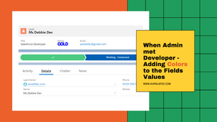 When Admin met Developer - Adding Colors to the Fields Values