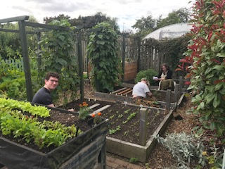 Green Team Harvest Time