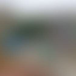 A new season, a new start for gardening and creativity