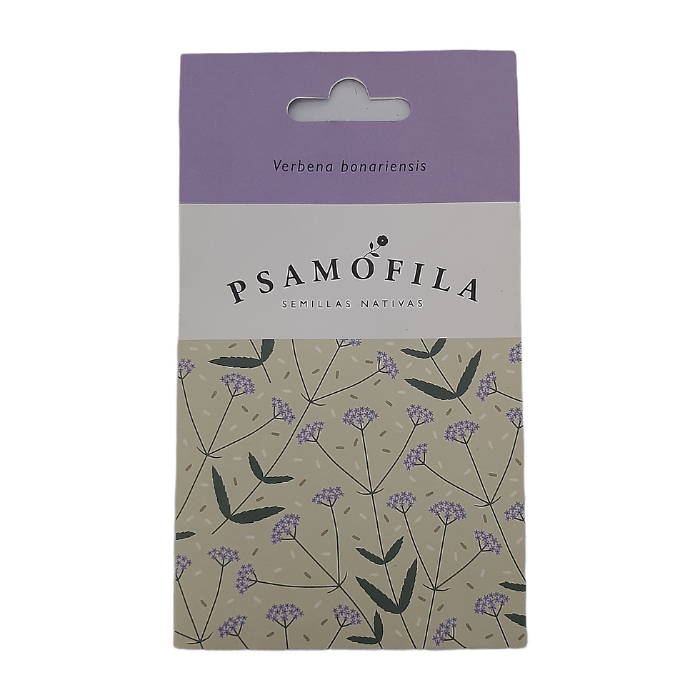 Semillas Nativas Psamófila - Verbena bonariensis