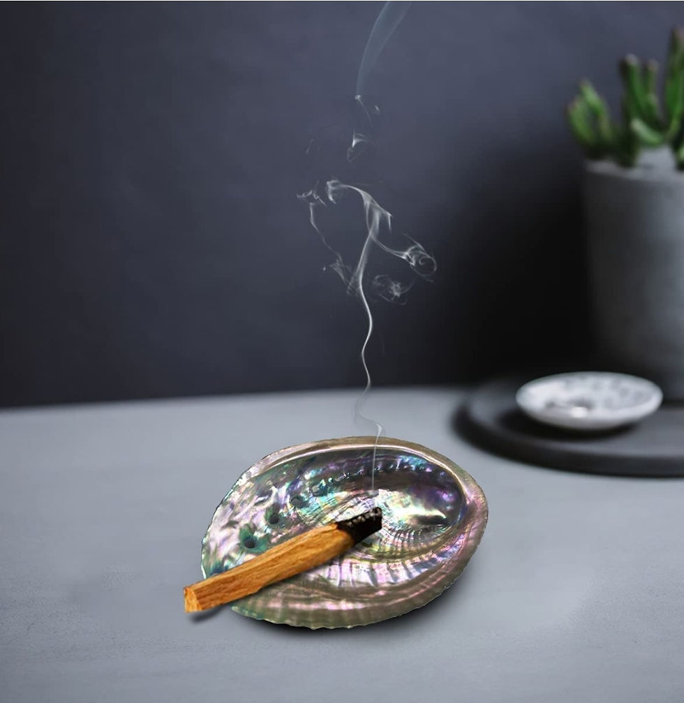 Thumbnail: Abalone Shell Smudge Bowl 
