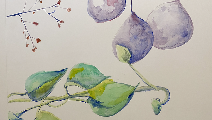 Nature-Inspired Creativity