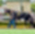IMG_5197.jpeg