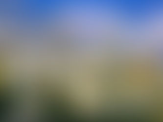 COVID-19 Took so much...