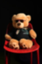 TEDDY