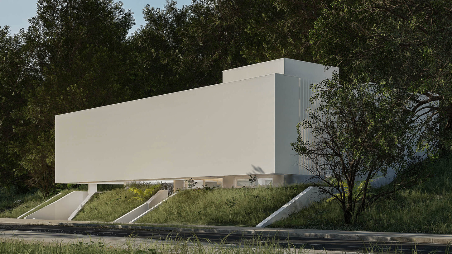 Minimalist House