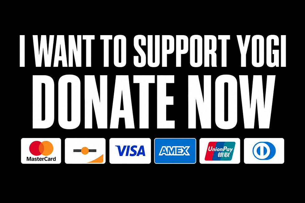 Donate Now Payment Banner.png