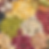 u (7).png