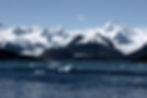 Ainsworth_bay_and_Marinelli_Glacier.jpg
