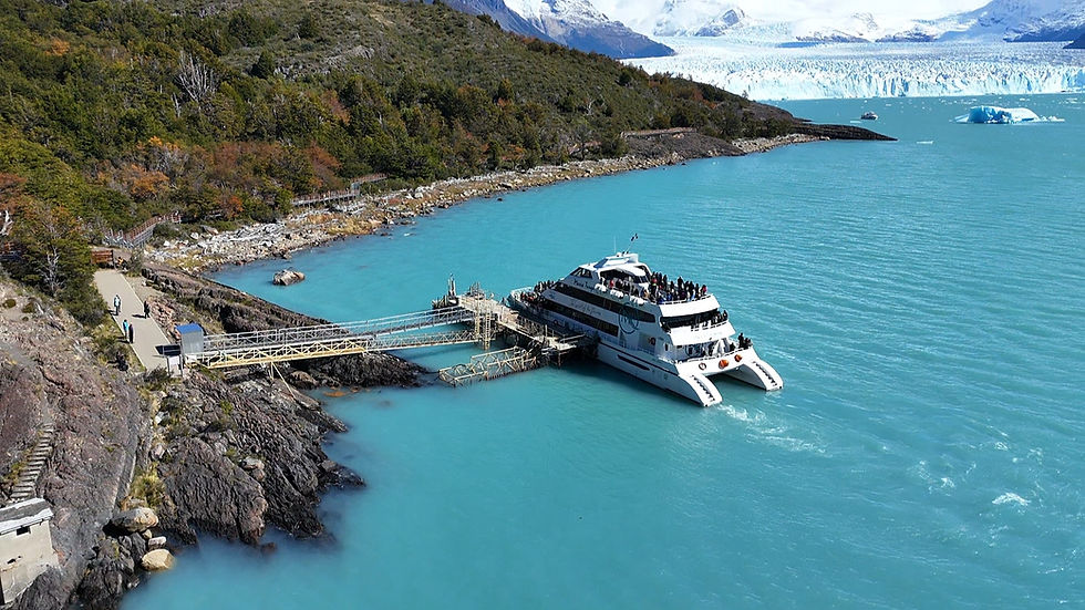dji_fly_20250225_205016_0_1740509416142_photo_low_quality (1).jpg