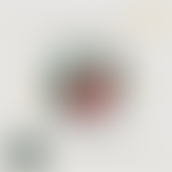 Top-5 Lektionen, die ich nach 17 Jahren Beratung in meiner Branche gelernt habe (und die mich täglich motivieren und herausfordern)