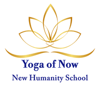 Yoga of Now Logo (Transparent).png