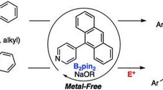 Pyridine-catalyzed desulfonative infographic