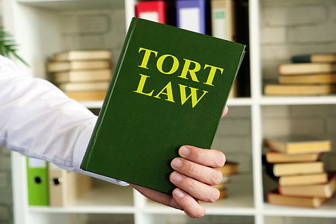rsz_33565676_hand-shows-a-tort-law-book-in-the-office.jpg