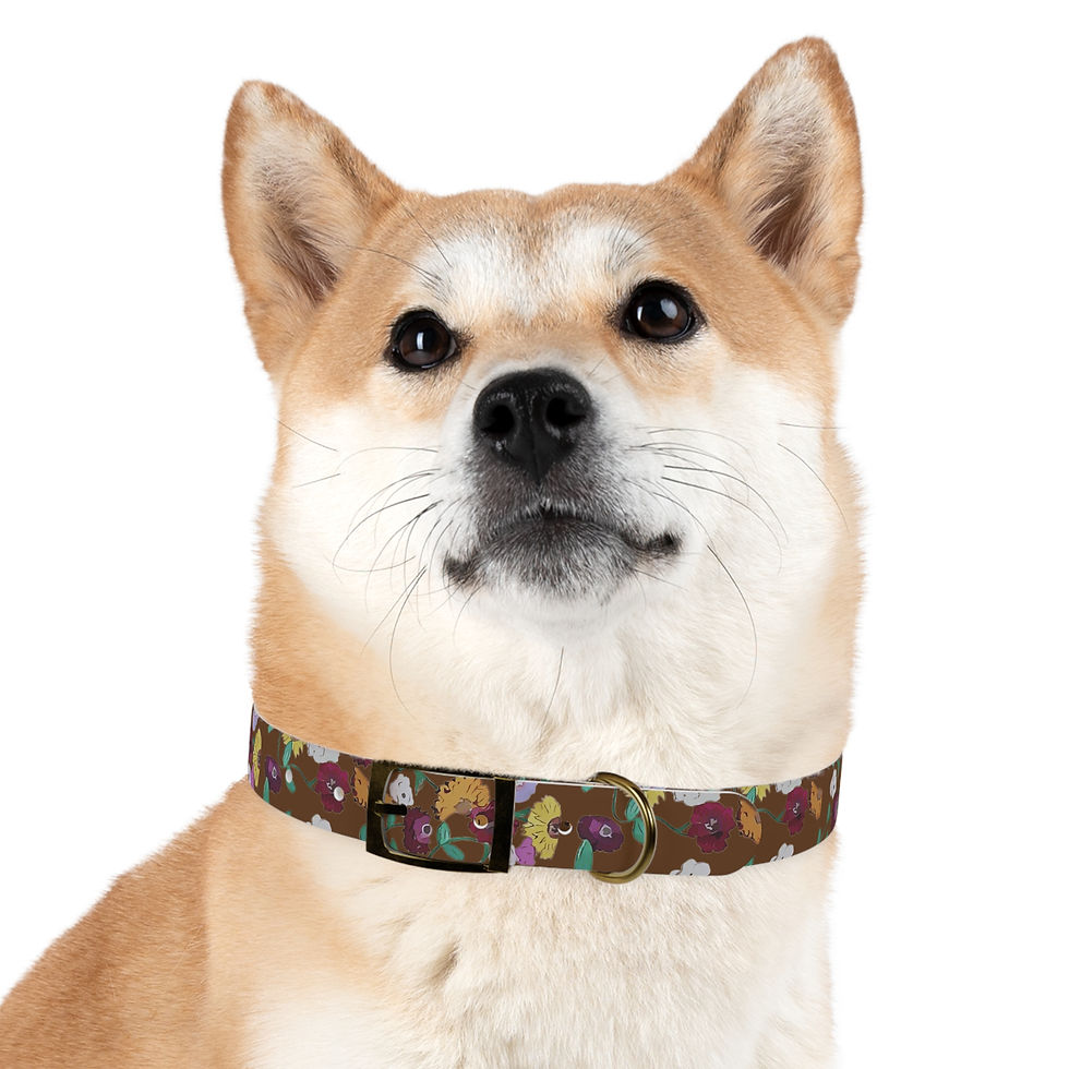 Thumbnail: Acoustic Piano Dog Collar