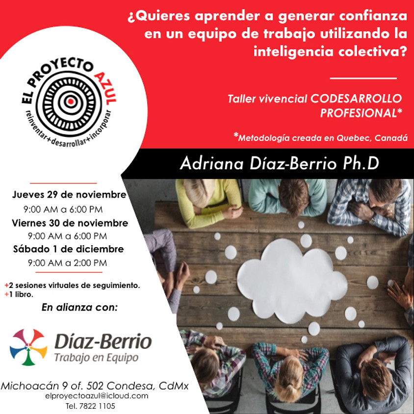 Curso taller vivencial Codesarrollo Profesional (1)