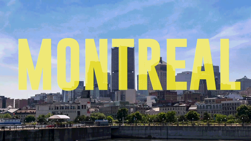 Montreal-Motion-Grfx-Teaser-GIF-4.gif